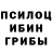 Галлюциногенные грибы Psilocybine cubensis Jack Bazyl