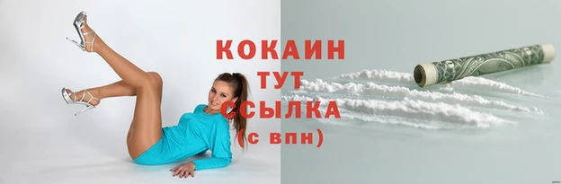 a pvp Карпинск