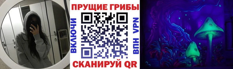 Псилоцибиновые грибы Psilocybine cubensis  Купить где  Ахтубинск 